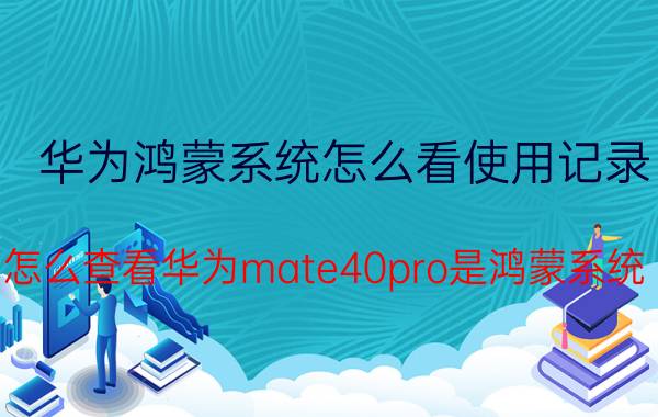 华为鸿蒙系统怎么看使用记录 怎么查看华为mate40pro是鸿蒙系统？